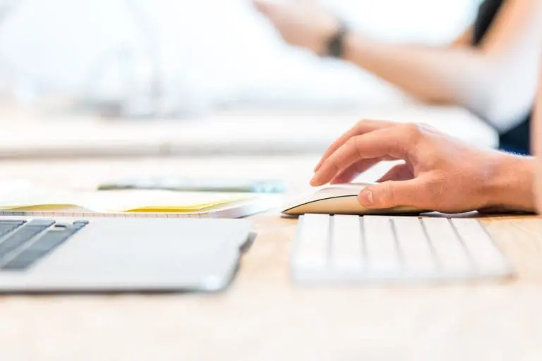 
			A Guide to PPC Bid Strategies