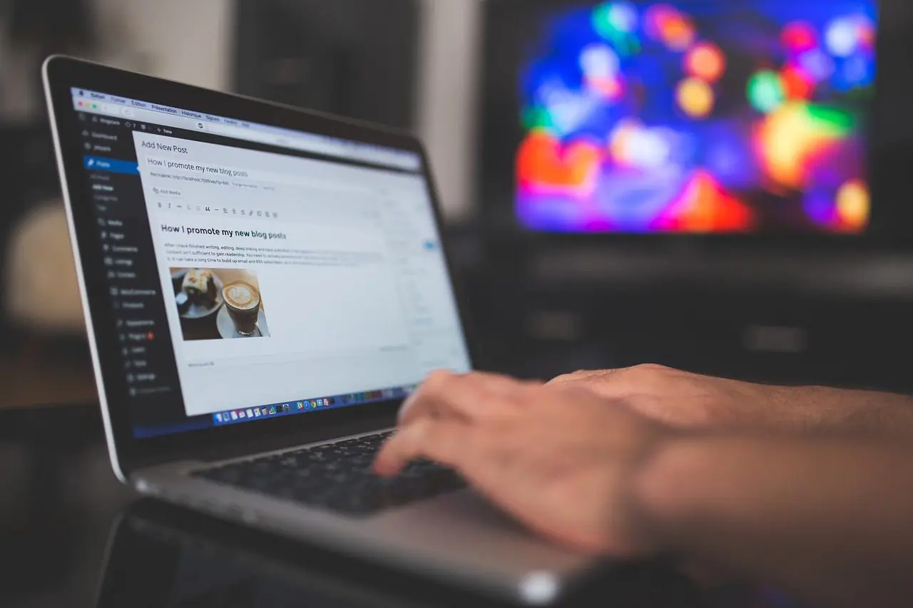 
			Should You Use a Custom WordPress Theme?